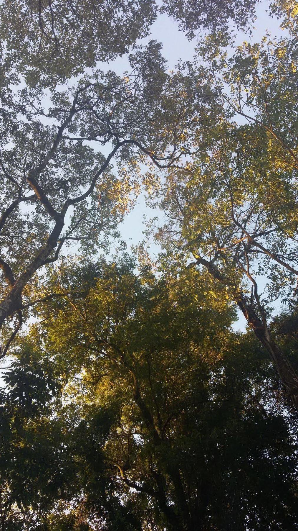 伊瓜苏 - 凯尔塔酒店 伊瓜苏港 外观 照片